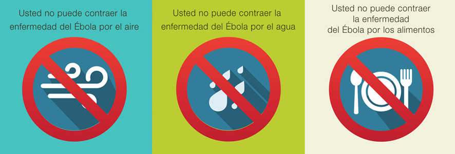 Las 7 claves del ébola Las 7 claves del ébola